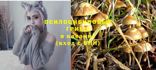 марихуана Белокуриха